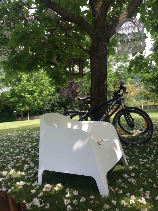 La Taverna Fra Le Colline Arezzo Eksteriør billede